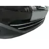 Смужки на нижню решітку (2 шт., нерж) для Nissan Qashqai 2010-2014рр