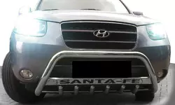 Кенгурятник WT004 (нерж.) для Hyundai Santa Fe 2 2006-2012рр