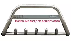 Кенгурятник WT004 (нерж) для Dacia Logan MCV 2013-2020 рр