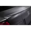 Спойлер Анатомік (під фарбування) для Honda Civic Sedan IX 2011-2016 рр