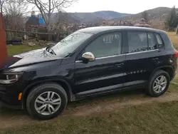 Окантовка вікон (6 шт, нерж) для Volkswagen Tiguan 2007-2016 рр Окантовка вікон (6 шт, нерж) для Volkswagen Tiguan 2007-2016 рр