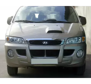 Центральна губа (під фарбування) для Hyundai H200, H1, Starex 1998-2007 рр