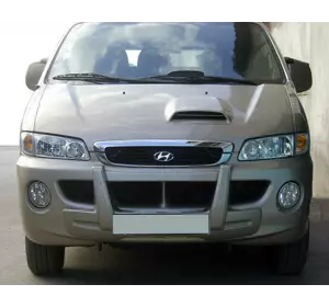 Центральна губа (під фарбування) для Hyundai H200, H1, Starex 1998-2007 рр Центральна губа (під фарбування) для Hyundai H200, H1, Starex 1998-2007 рр